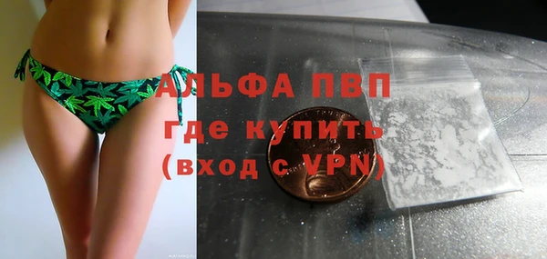 прущая мука Вяземский