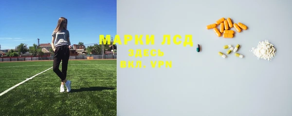 прущая мука Вяземский