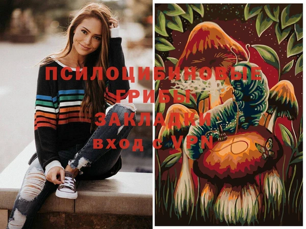 прущая мука Вяземский