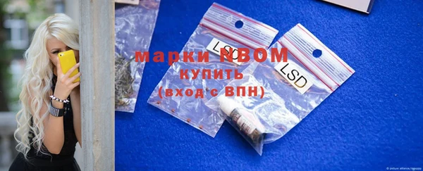 прущая мука Вяземский