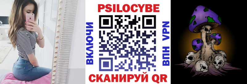 Купить где  Снежногорск  Галлюциногенные грибы Psilocybe 