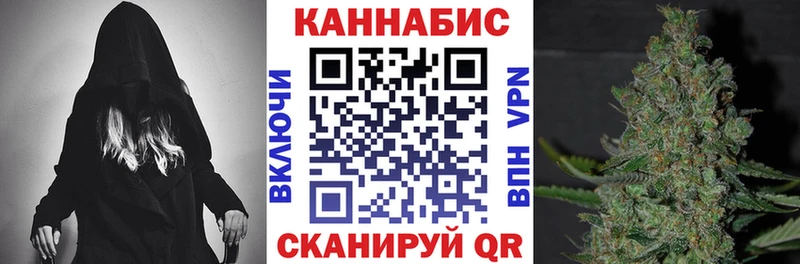 Канабис конопля  Купить закладки  Снежногорск 
